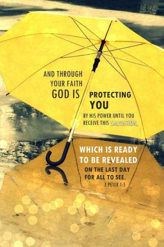 9e928f9d-e411-4627-8a7e-d68f2fbfc2f4