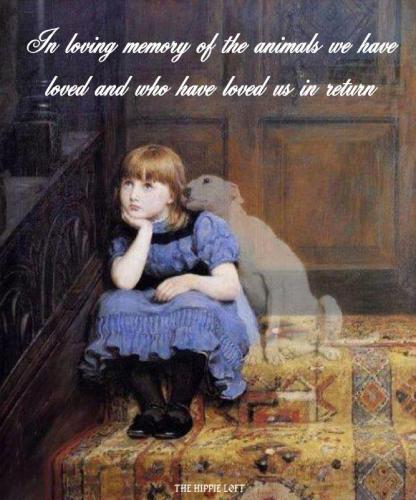 pets gone by