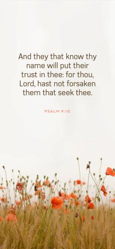 45F43C0F-DDC2-4B7D-BBE9-81091E20D090