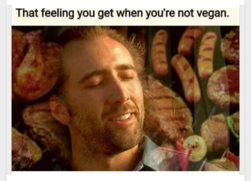 000meat eater