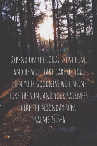 93e6b07b-6fc2-4058-b295-39af4b51dd31