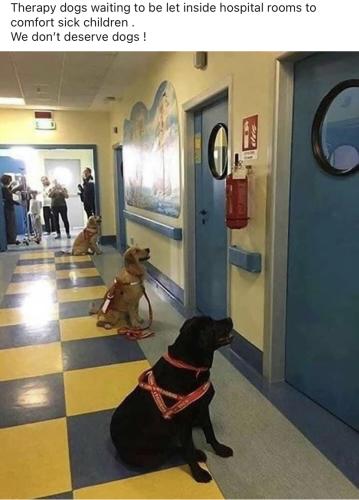 E6CB7069-0B22-4D82-9C00-435182BC05E5