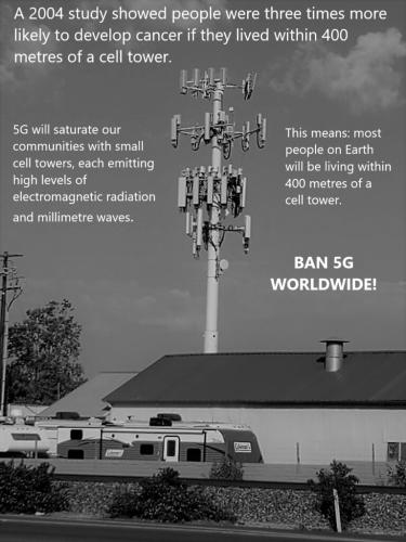 735e0debc3b1e49e08b91a0eed0a9de8_500x0