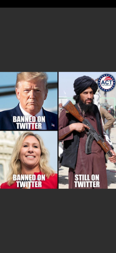 5ee9d9c16081bd17358bd621205f7533_500x0