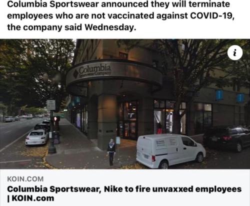 image_1642306457.882