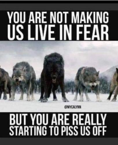 dd30e7fd-180f-4dea-a49b-5ea2a2a713fa