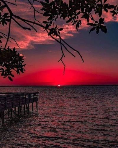 9B10D661-9DC0-41A4-8DA5-C9814613C694