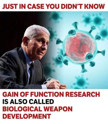 73082A56-A6D5-4ECE-BA9A-4015537A7B82