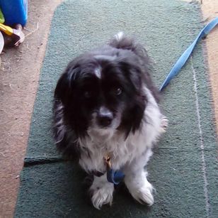 16991587_1397892933617061_7932025625315547472_o