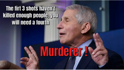 41 Murderer