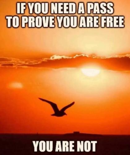 IMG_20220130_135056_207