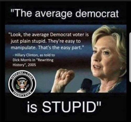 HillaryDemsRStupid