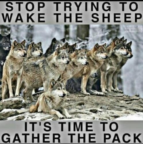 Screenshot_20220108-200923_DuckDuckGo