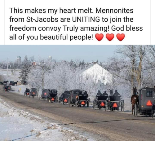 Canadian Mennonites