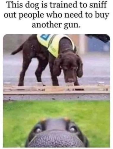 000mo guns