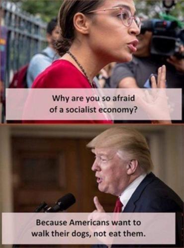 a5ccf44b87d121c70633cba48eeddcb4_500x0