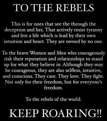 img - 2022-01-21T110008.520