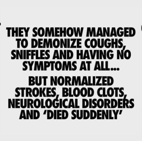 C28581D5-449F-42C4-B919-33CE4F8DEAA5