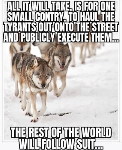 CFEB9F44-1C84-4925-AF63-635BDF7D51F3