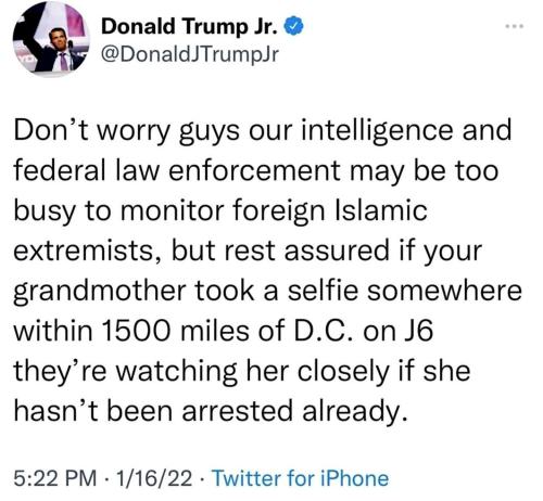 Donald Trump Jr ~Domestic Terrorist Grandma~