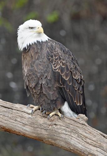 B8CB693C-7890-44EE-90C8-C481C6F069CB