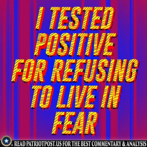 image_1642434744.461