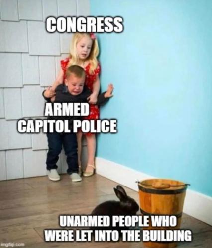 CongressCapitolPoliceUnarmedPeople