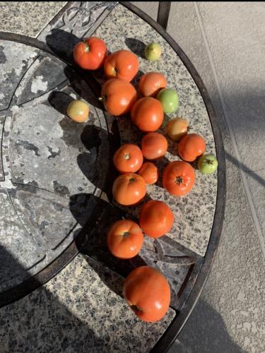 523528B8-6DB5-478E-B71A-462D8D81A2EC