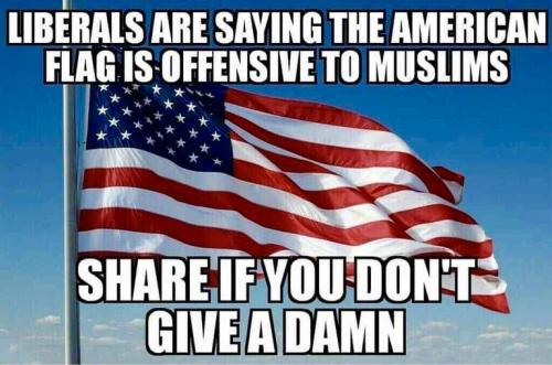 B6CA55C7-E875-40D5-A21C-31242F46E0BD