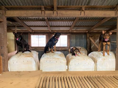 126928896_118965220023682_7639327736893569863_n