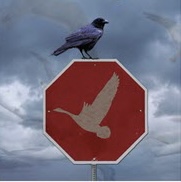 28AA3C3B-C329-44F1-8270-BDA789672EA6