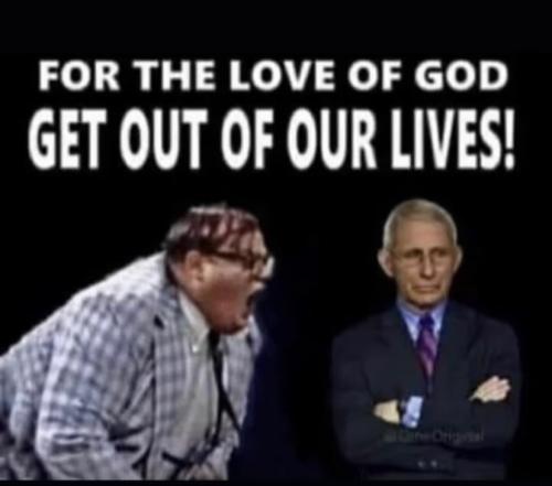 image_1642045099.076