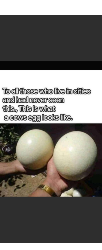 Screenshot_20220108-192710