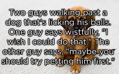 two-guys-walking-past-a-dog-copy(1)