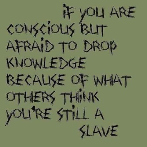 FB_IMG_1640532232088