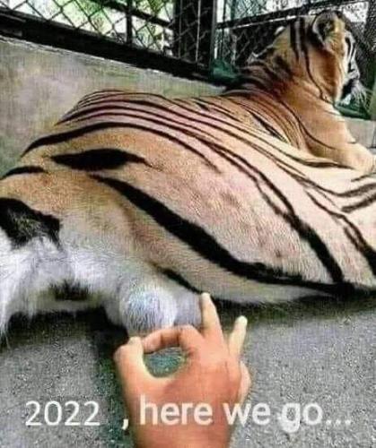 FB_IMG_1641352428193