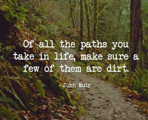 Motivation225