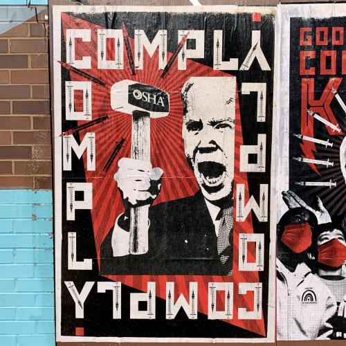 BIDEN ART