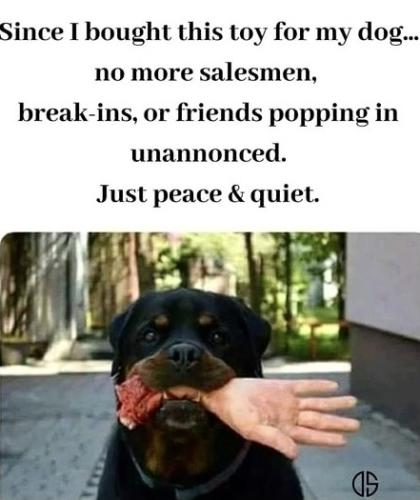 F0994293-128E-419B-955E-CEC9DA98B111