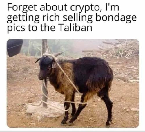 Forget about crypto Im getting rich selling bondage photos to the taliban