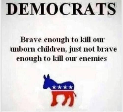 M Dems