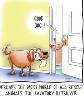 Lavatory Retriever