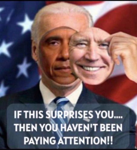 6ad4fd48df3be6a79cfcc3aa4b13d8c6_500x0