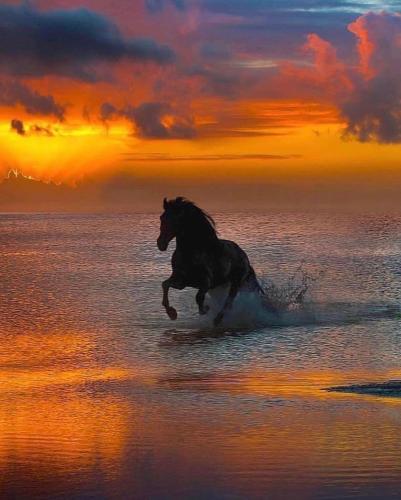 2486763A-892F-4DDA-9C89-19B6DF8C5F16