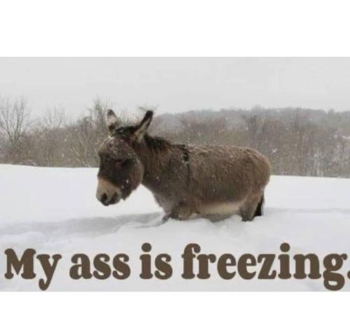 IMG_20220117_165015_397