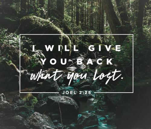 Joel 2-25