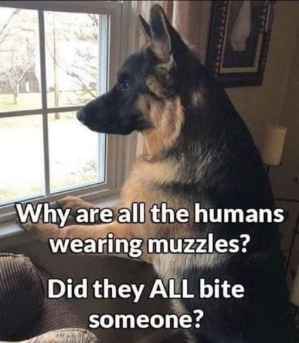 271296853_480289100330444_6899861526548301875_n