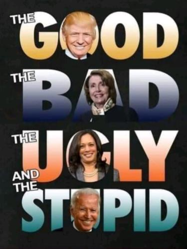 image_1643220022.784