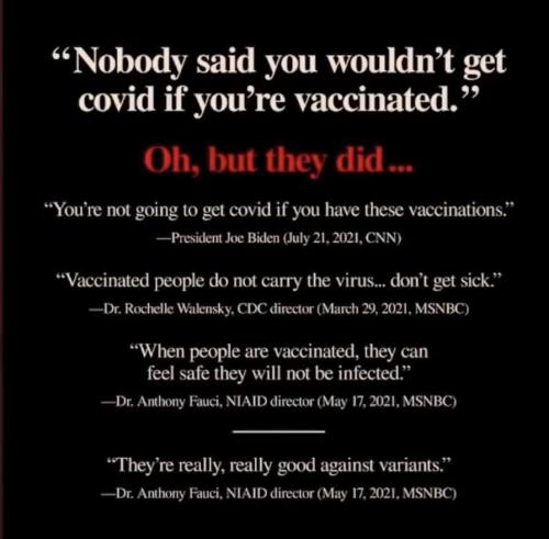 photo_2022-01-30_10-29-48