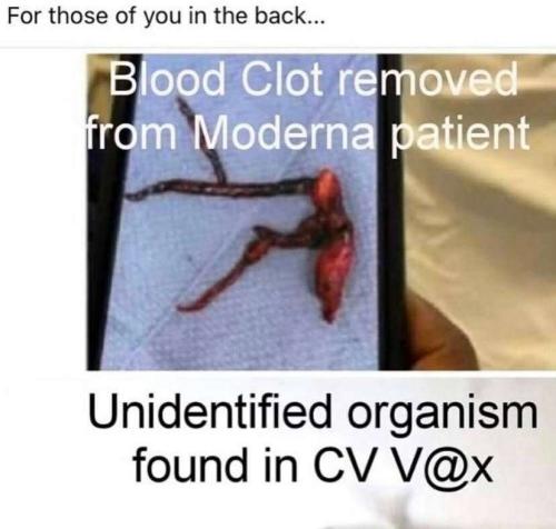 349a82c3-bbfc-4c9b-b2ff-38ac962c410d